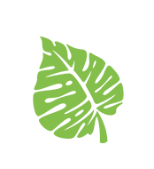 A green leaf is shown on the black background.
