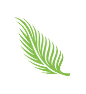 A green leaf is shown on the black background.