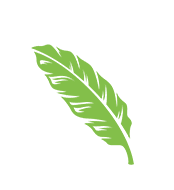 A green leaf is shown on the black background.
